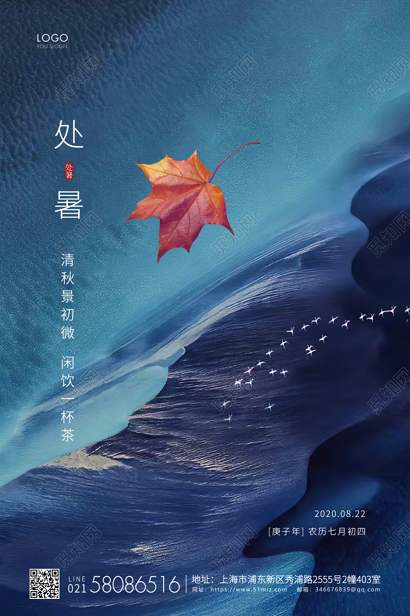 简约处暑节气二十四节气宣传海报