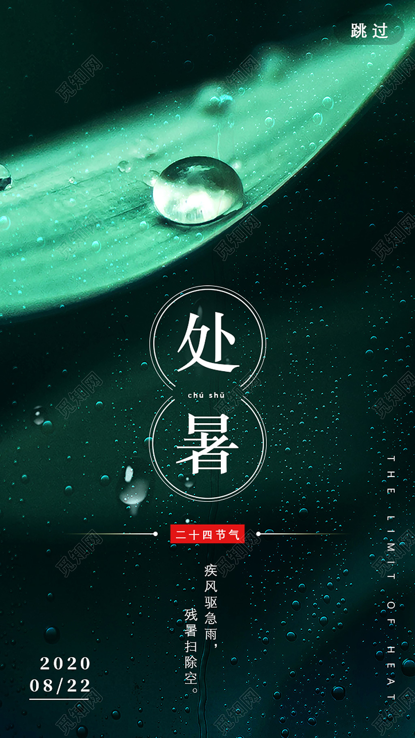 墨绿色节气处暑二十四节气处暑UI手机海报
