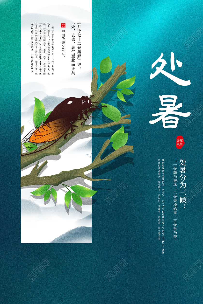 绿色简约手绘蝉大气二十四节气处暑海报