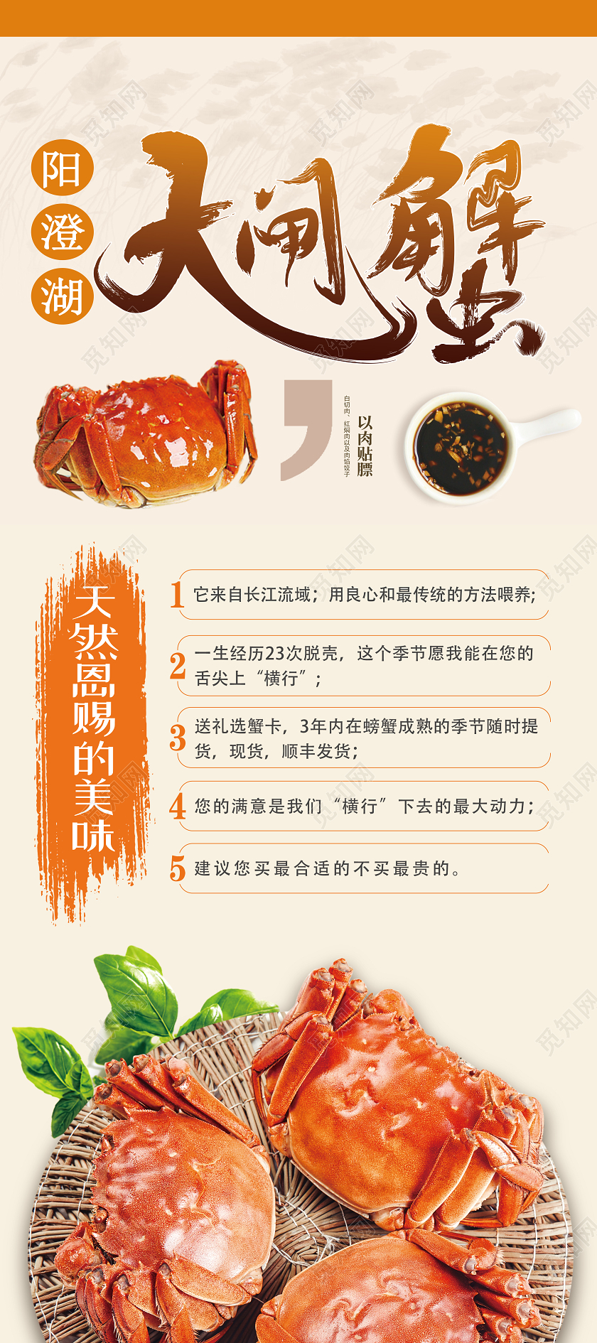 黄色简约大闸蟹美食展架易拉宝大闸蟹展架