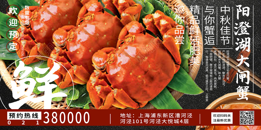 大闸蟹展板海报阳澄湖大闸蟹