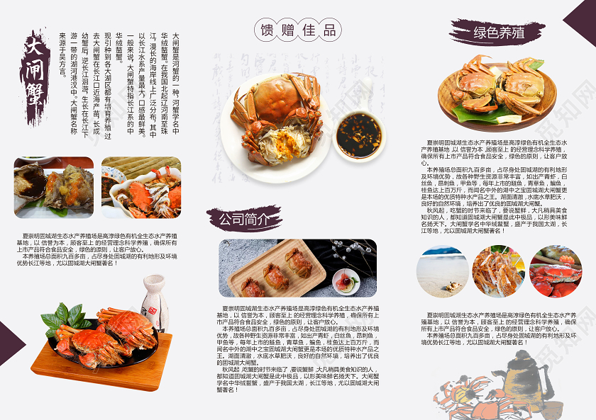 紫色创意大气固城湖大闸蟹三折页设计