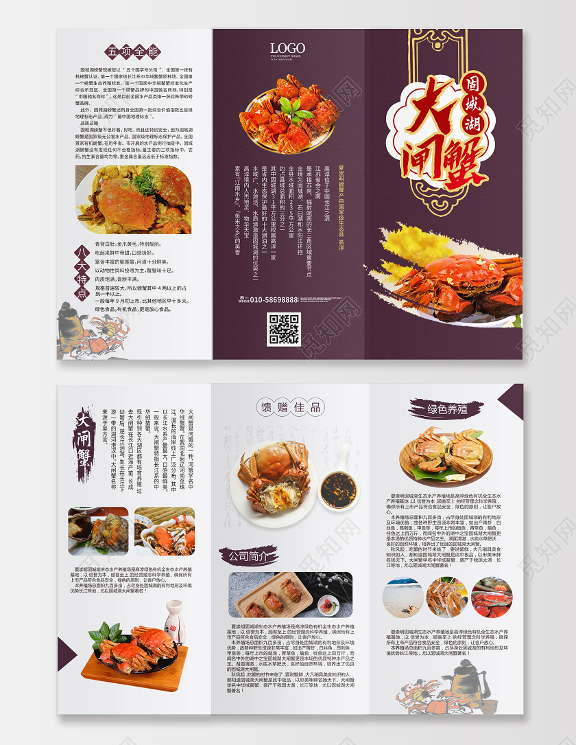 紫色创意大气固城湖大闸蟹三折页设计