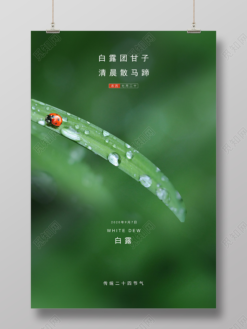 绿色清新白露传统二十四节气海报