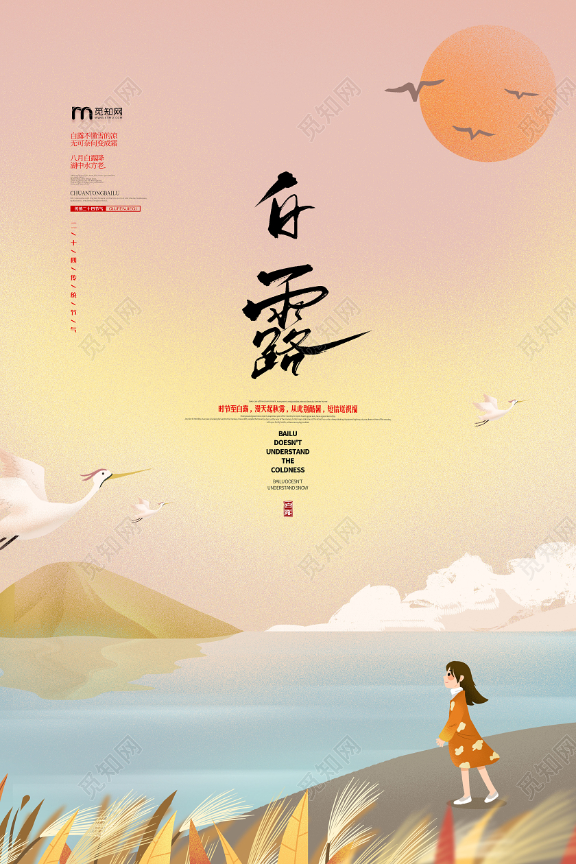二十四节气白露创意插画海报