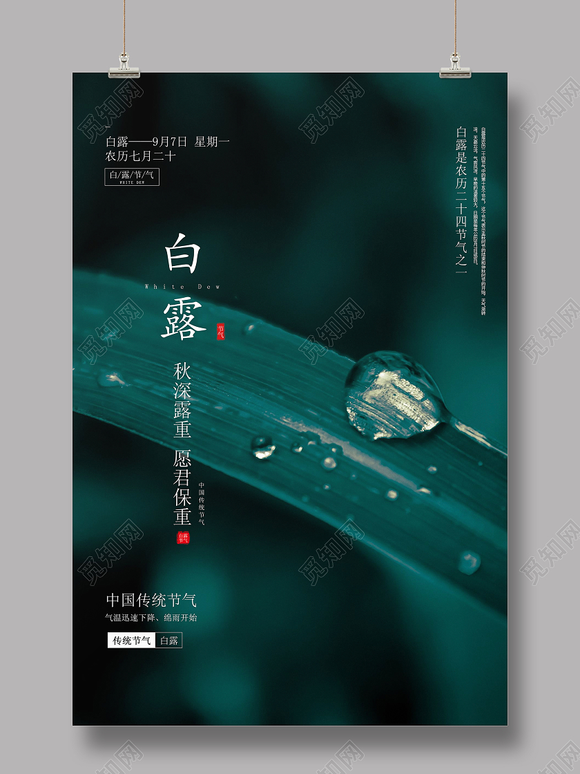 绿色简约白露二十四节气宣传海报