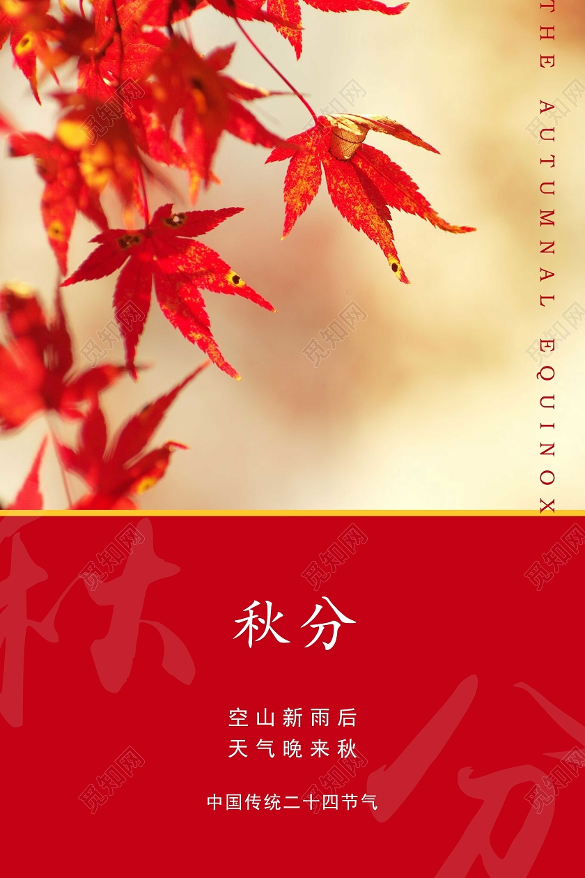 橙色简约秋分中国传统二十四节气海报