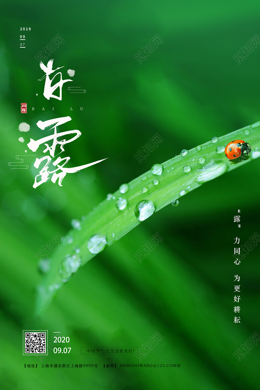 绿色清爽白露24节气二十四节气白露海报