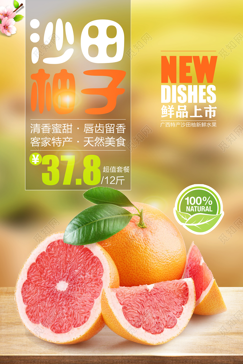 绿色清新沙田柚子柚子秋天水果海报