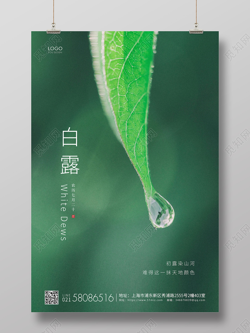 绿色简约白露节气二十四节气宣传海报