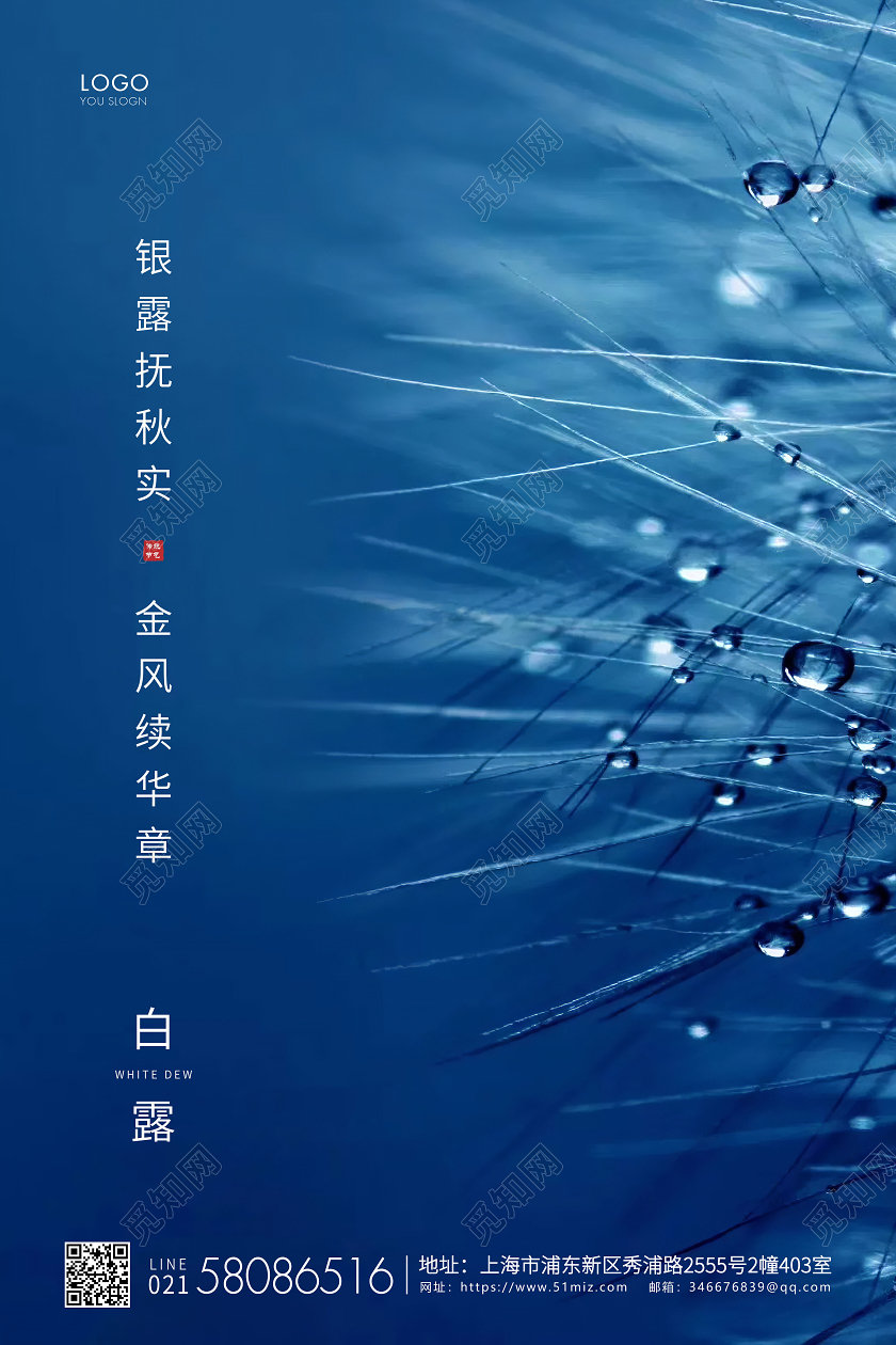 蓝色简约白露节气二十四节气宣传海报