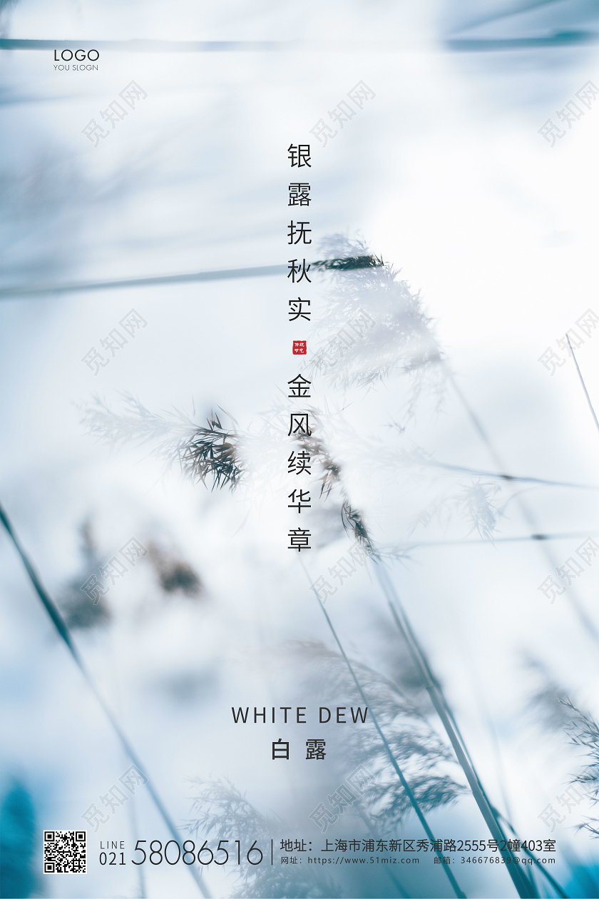 白色简约白露节气二十四节气宣传海报