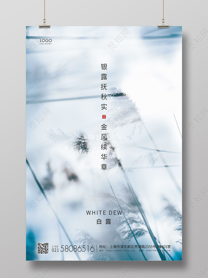 白色简约白露节气二十四节气宣传海报