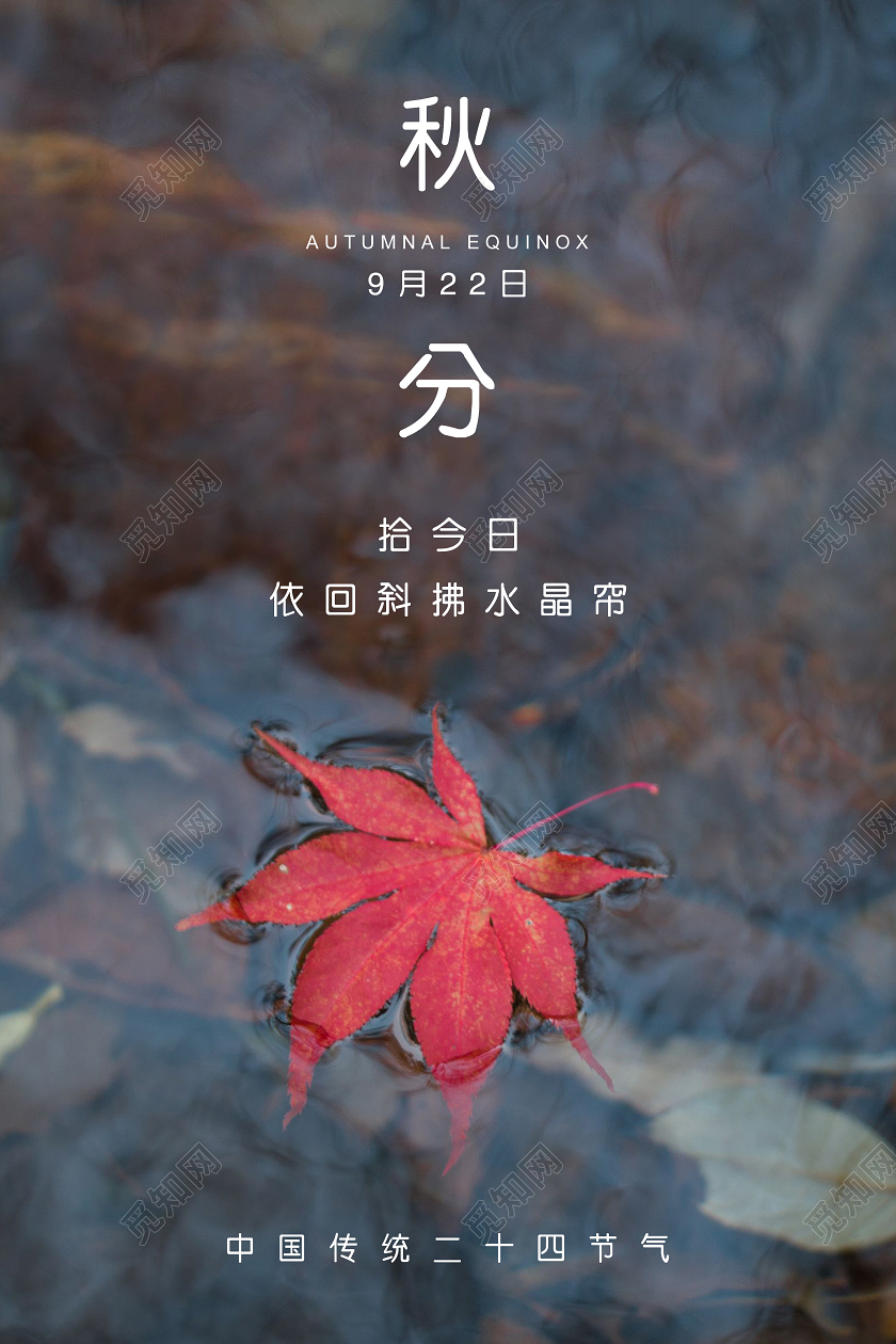 棕色简约秋分中国传统二十四节气海报