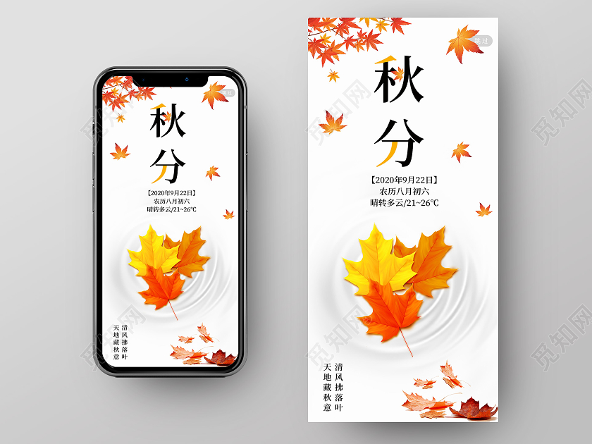 白色小清新秋分手机海报中国传统节气秋分宣传手机海报