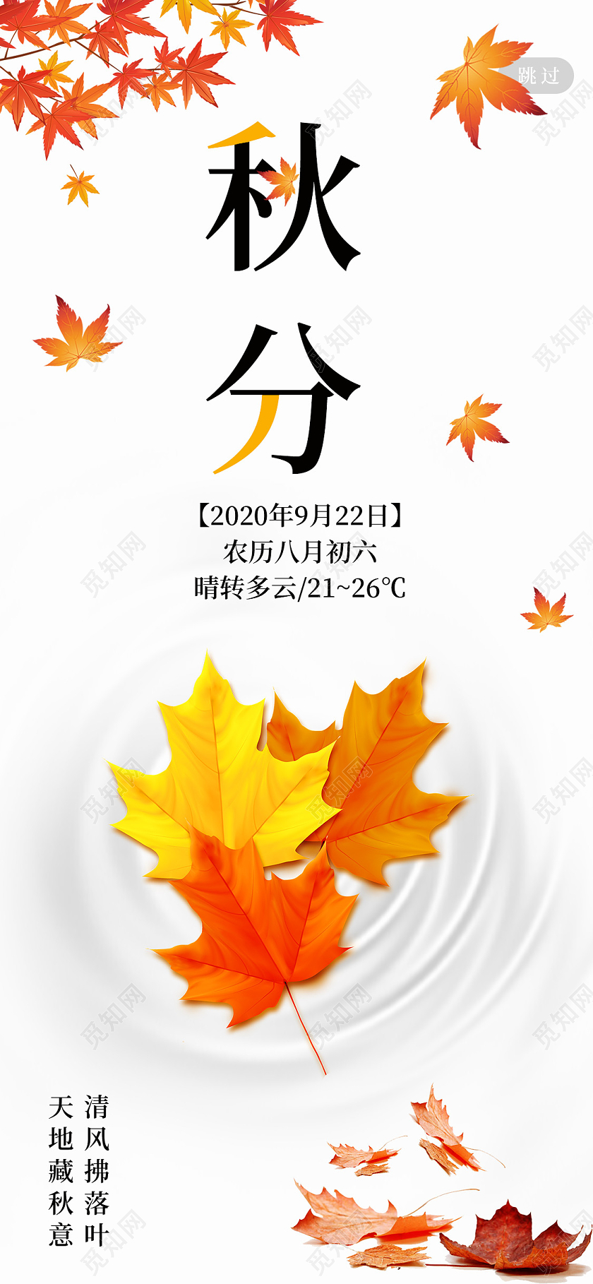 白色小清新秋分手机海报中国传统节气秋分宣传手机海报