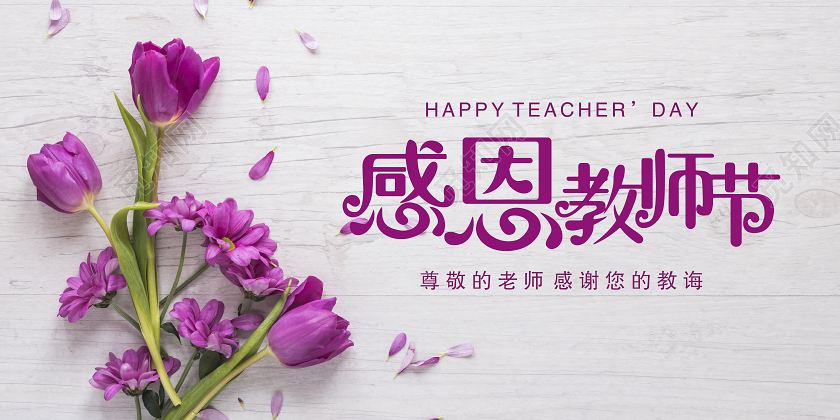 紫色简约花朵感恩教师节教师节贺卡