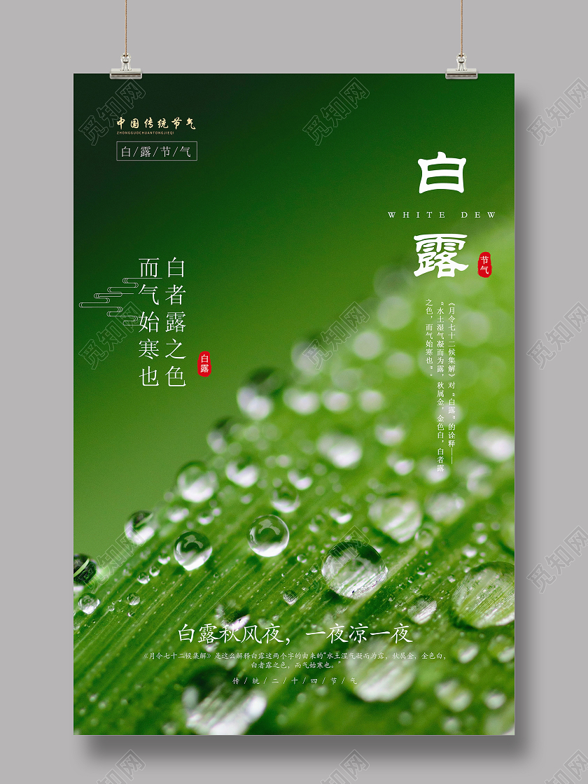 绿色简约白露二十四节气宣传海报