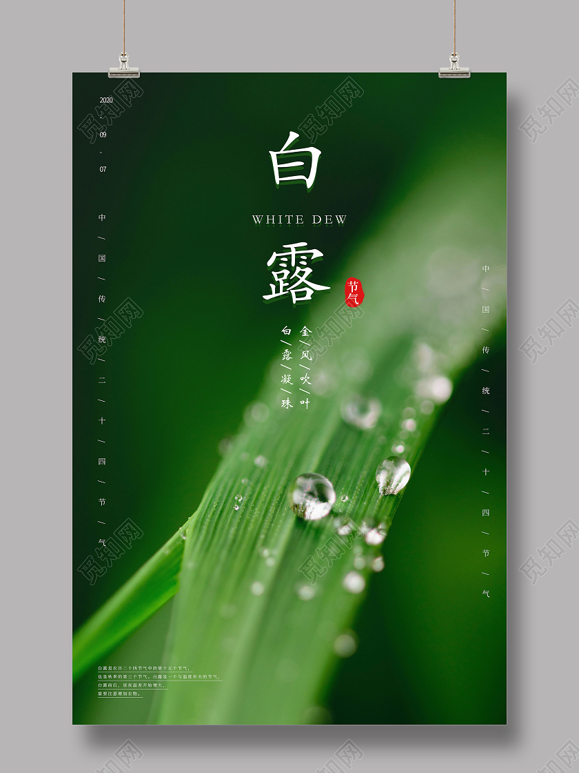 绿色简约白露二十四节气宣传海报