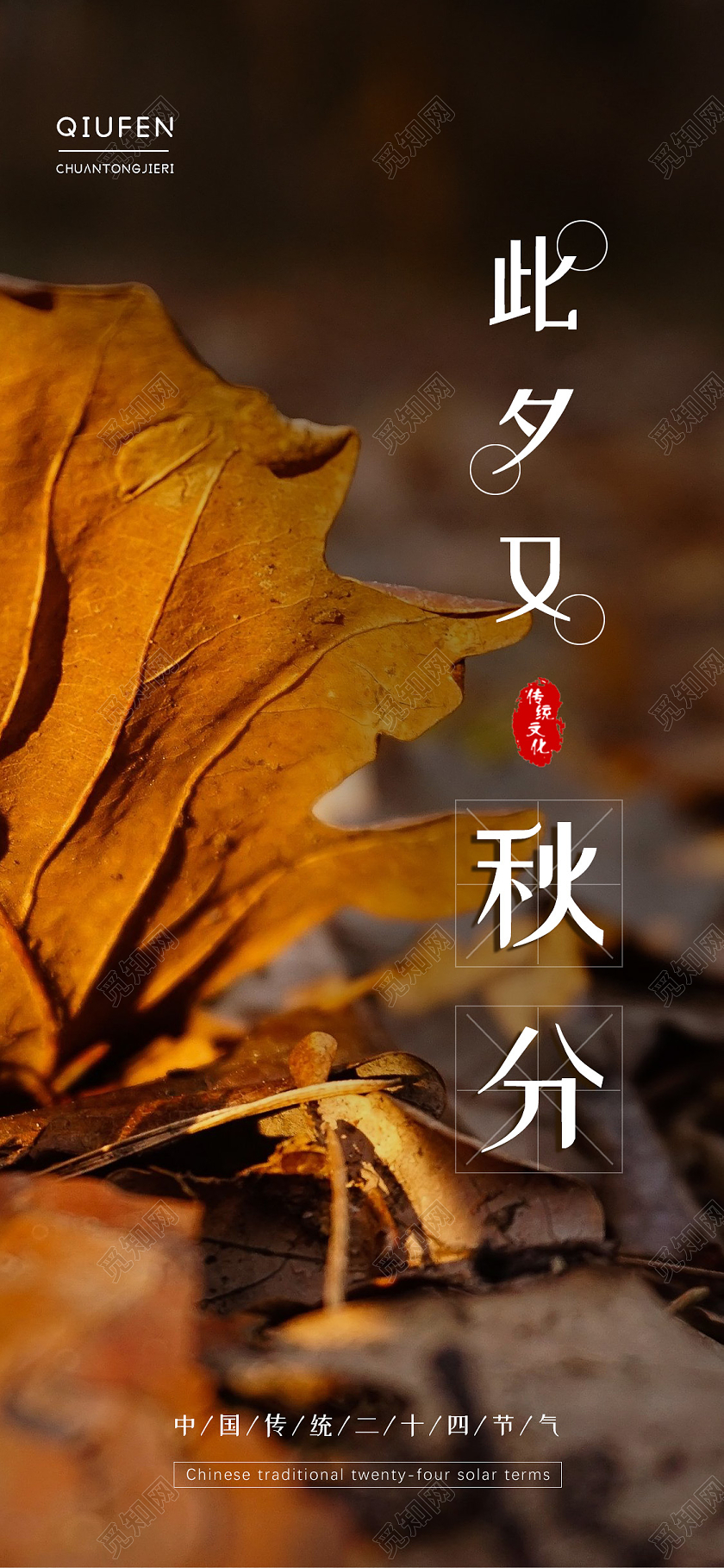 简约大气唯美秋分海报秋分手机