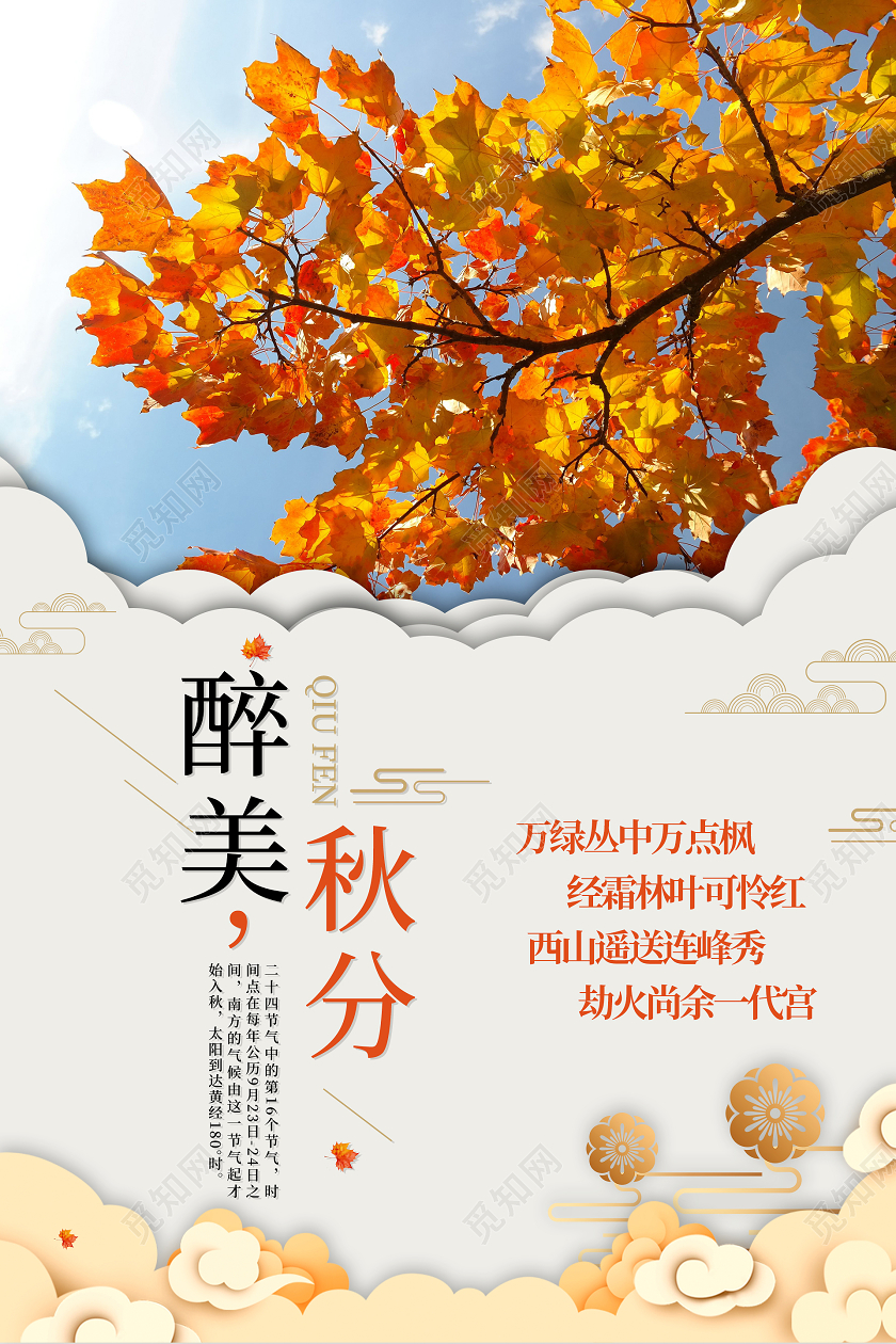 白色简约清新二十四节气醉美秋分海报24二十四节气秋分