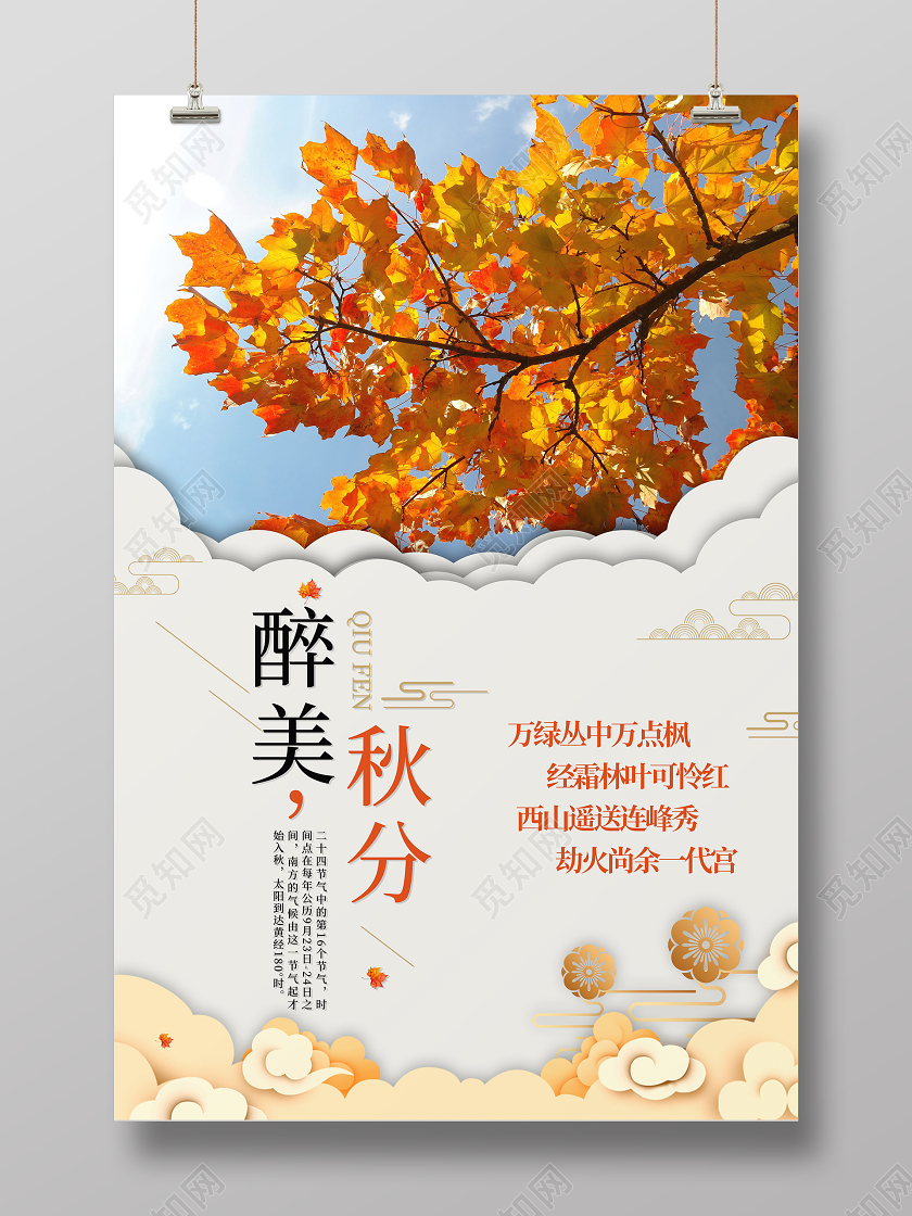 白色简约清新二十四节气醉美秋分海报24二十四节气秋分