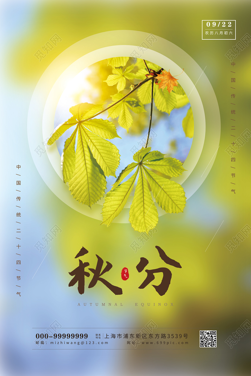 绿色清爽秋分24二十四节气秋分海报