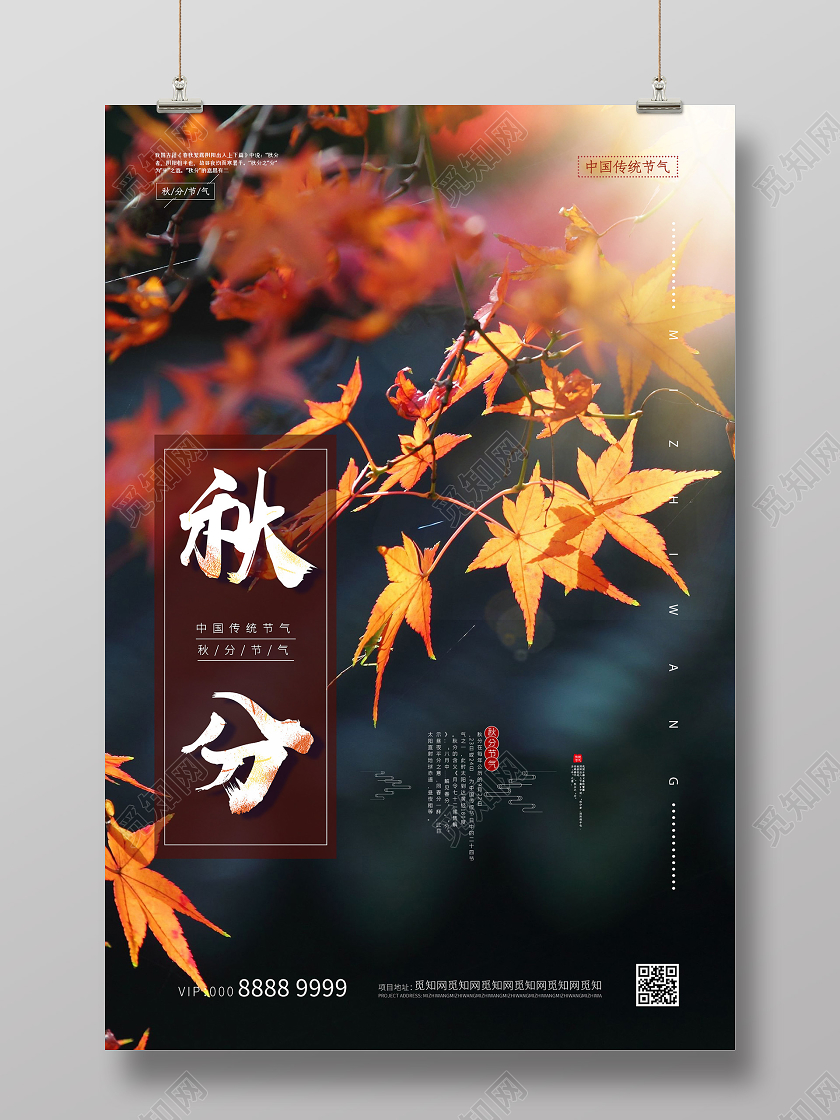 简约大气氛围二十四节气秋分海报24二十四节气秋分