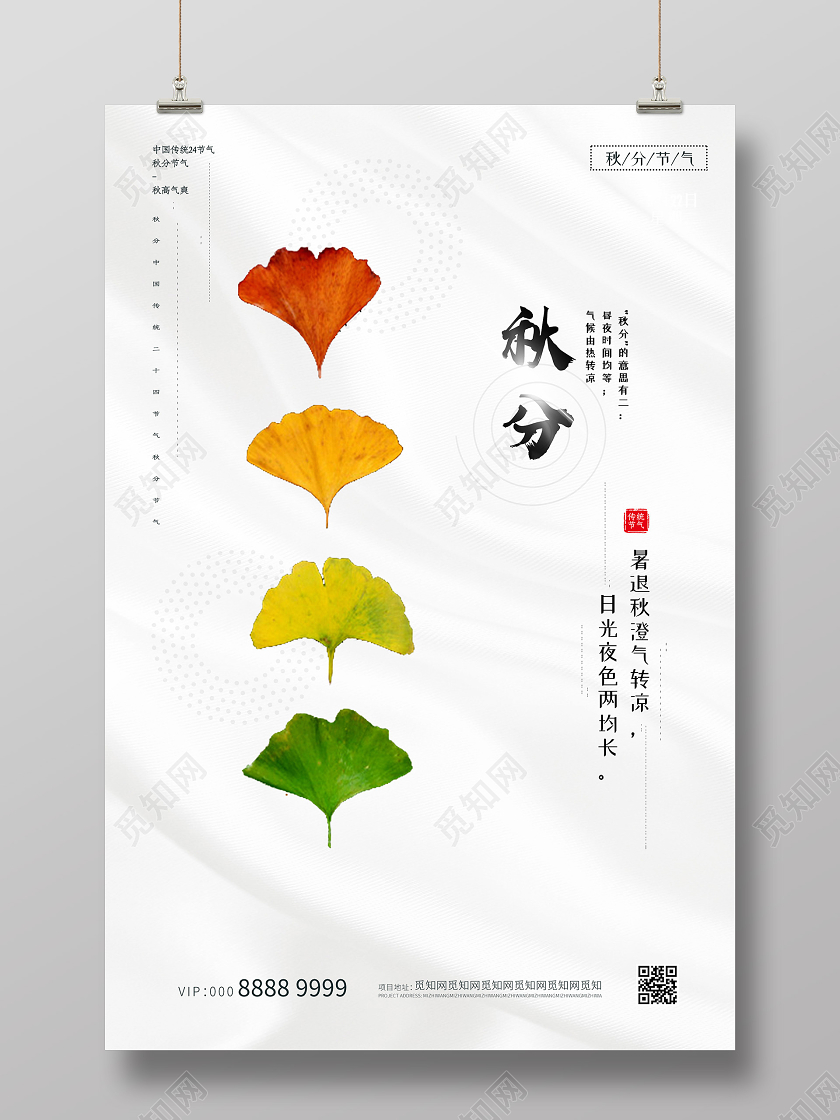 白色简约大气二十四节气秋分海报24二十四节气秋分