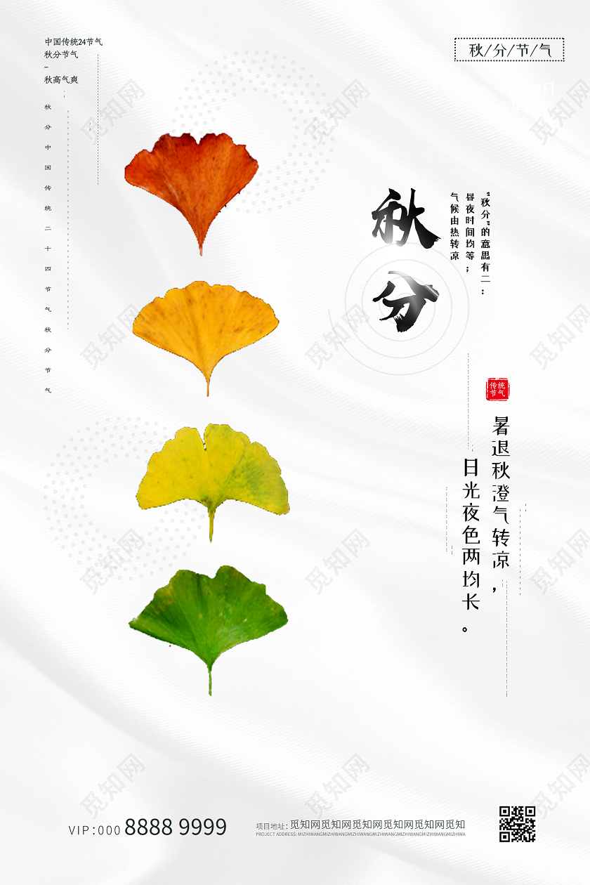 白色简约大气二十四节气秋分海报24二十四节气秋分