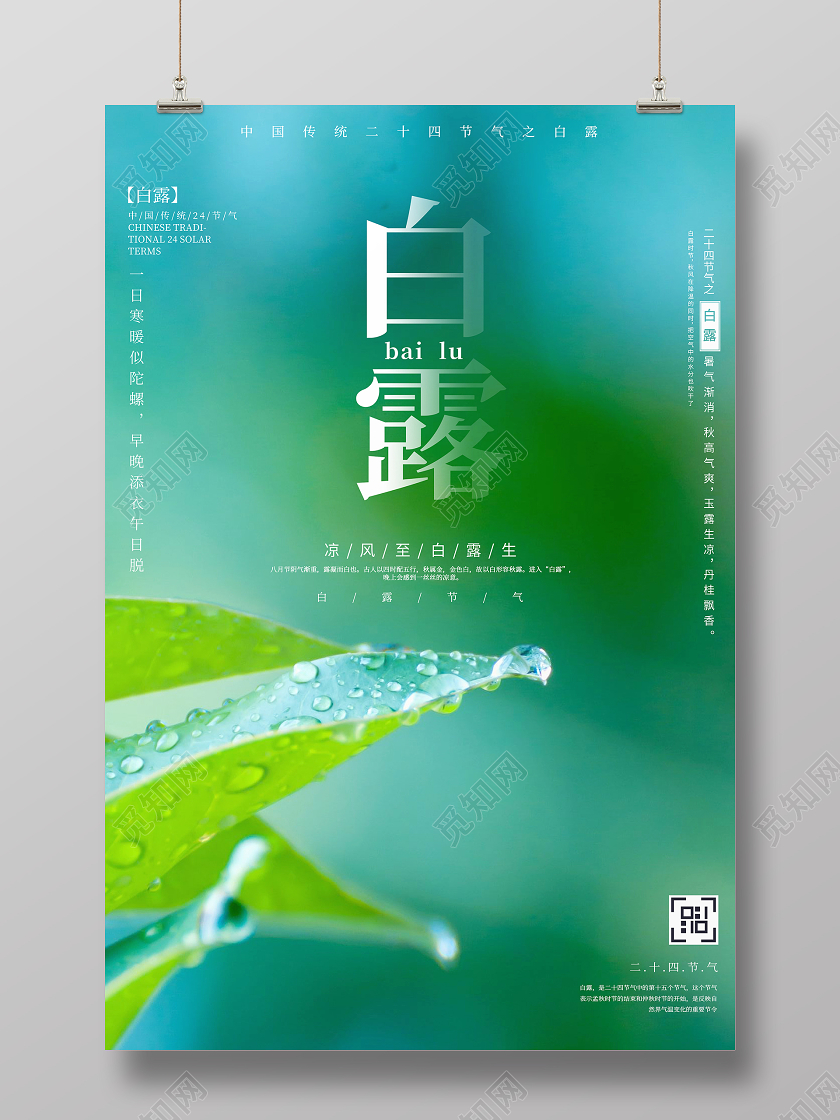 绿色唯美二十四节气白露宣传海报