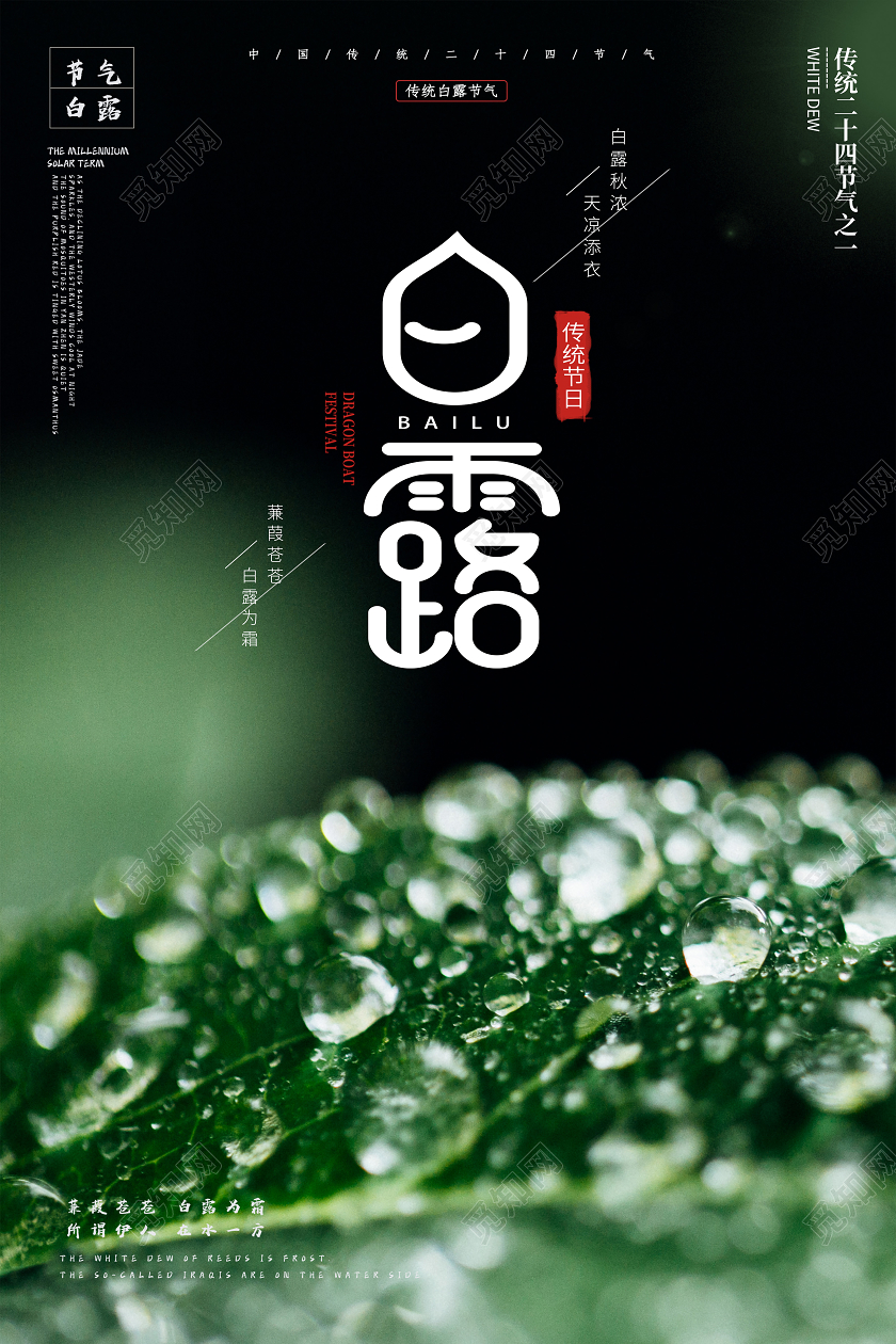 绿色清新白露传统二十四节气海报