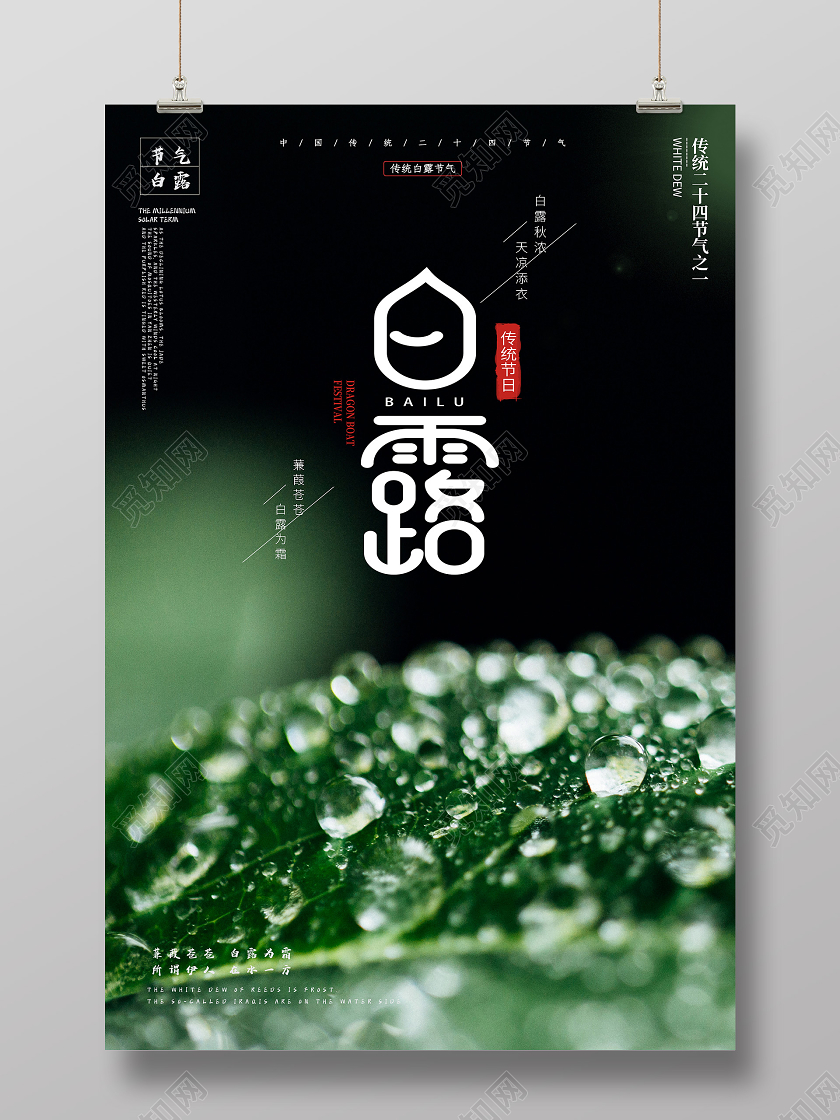 绿色清新白露传统二十四节气海报