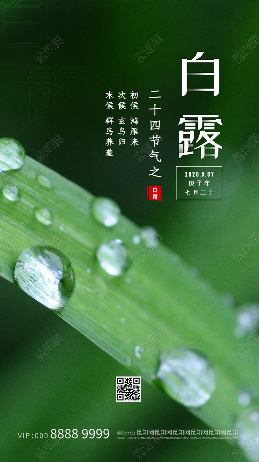 绿色简约大气创意24节气白露海报24节气二十四节气白露ui