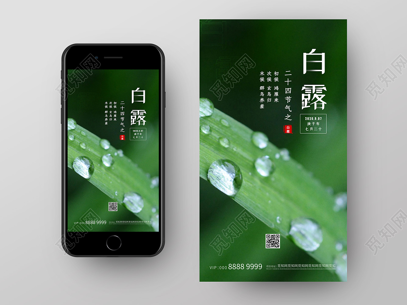 绿色简约大气创意24节气白露海报24节气二十四节气白露ui