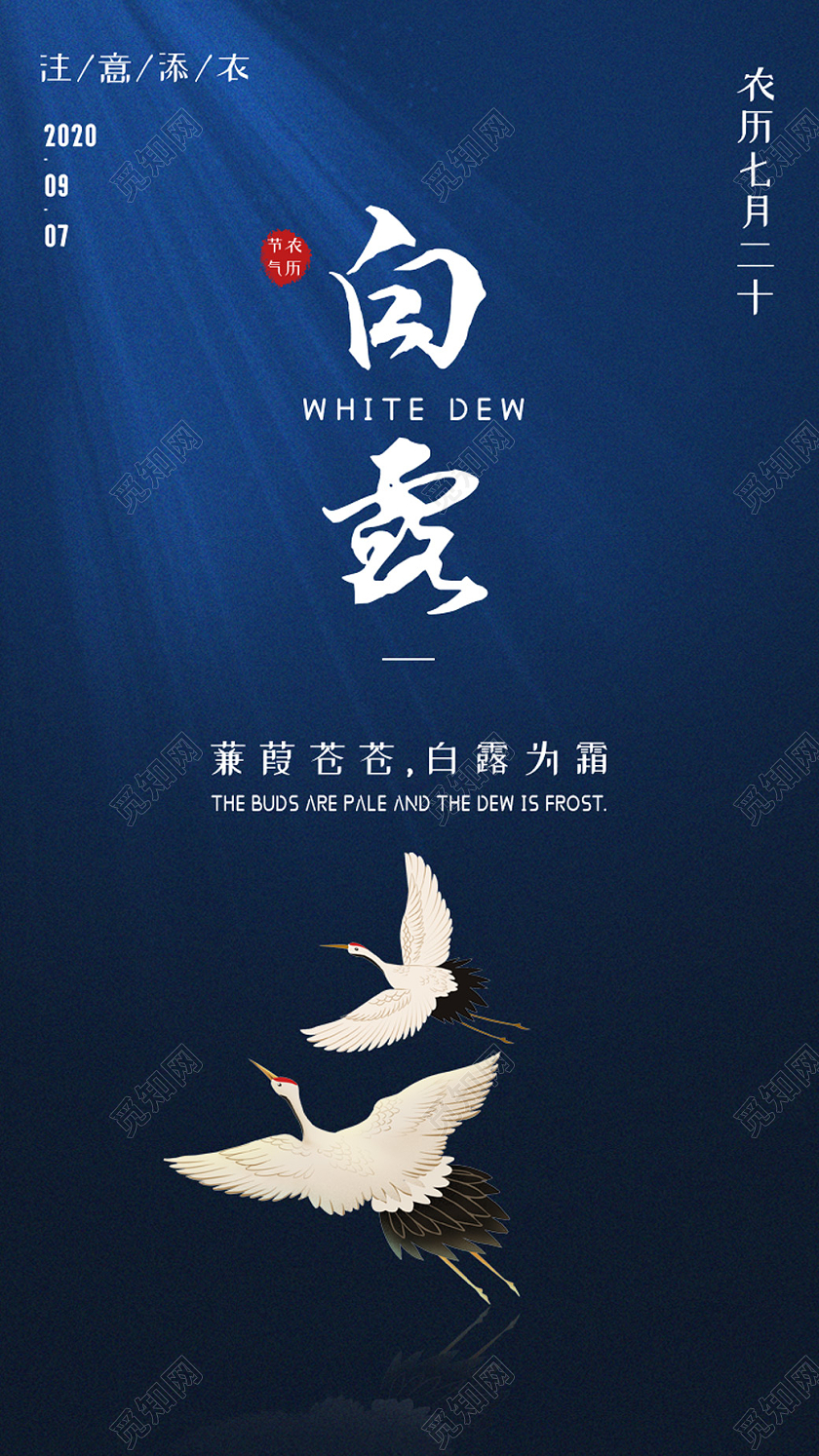 蓝色简约大气24节气白露UI海报24节气二十四节气白露ui