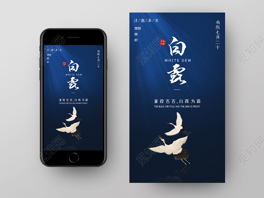 蓝色简约大气24节气白露UI海报24节气二十四节气白露ui