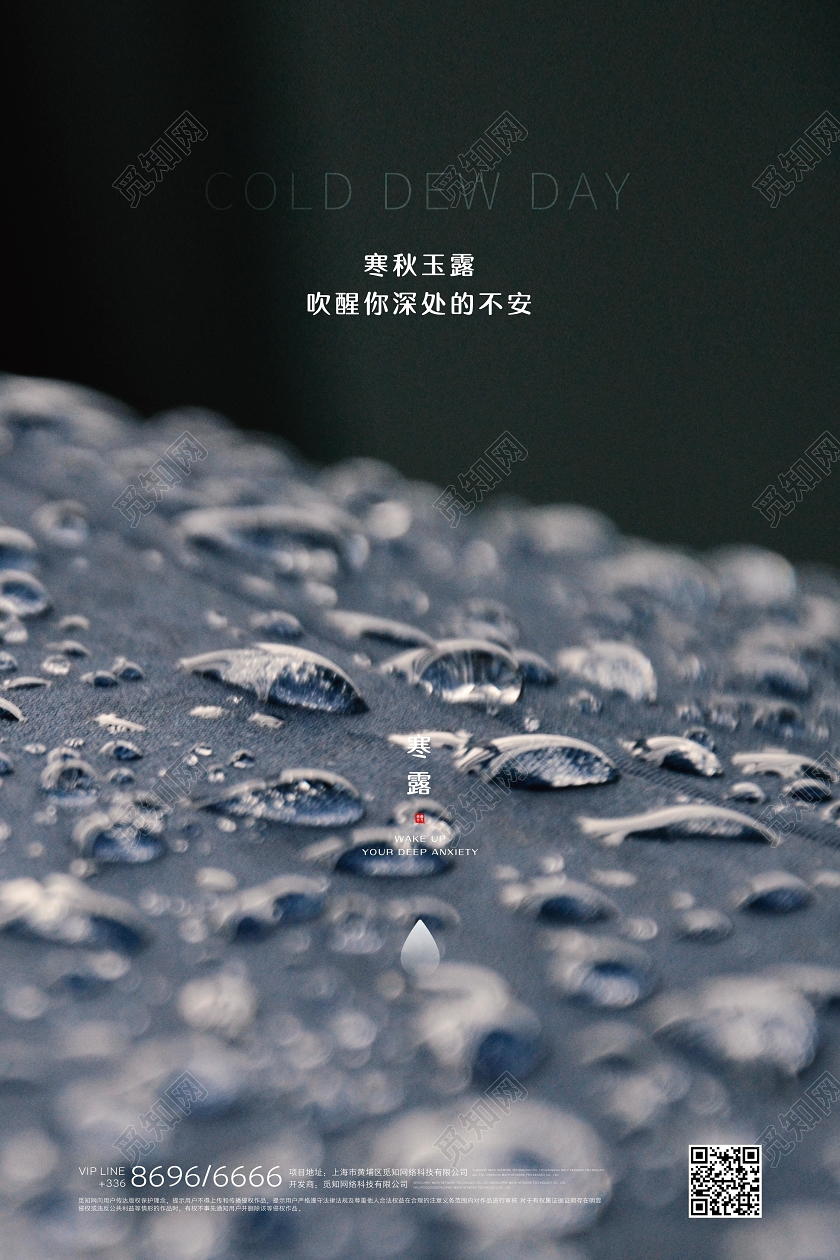 寒露写实创意露珠海报