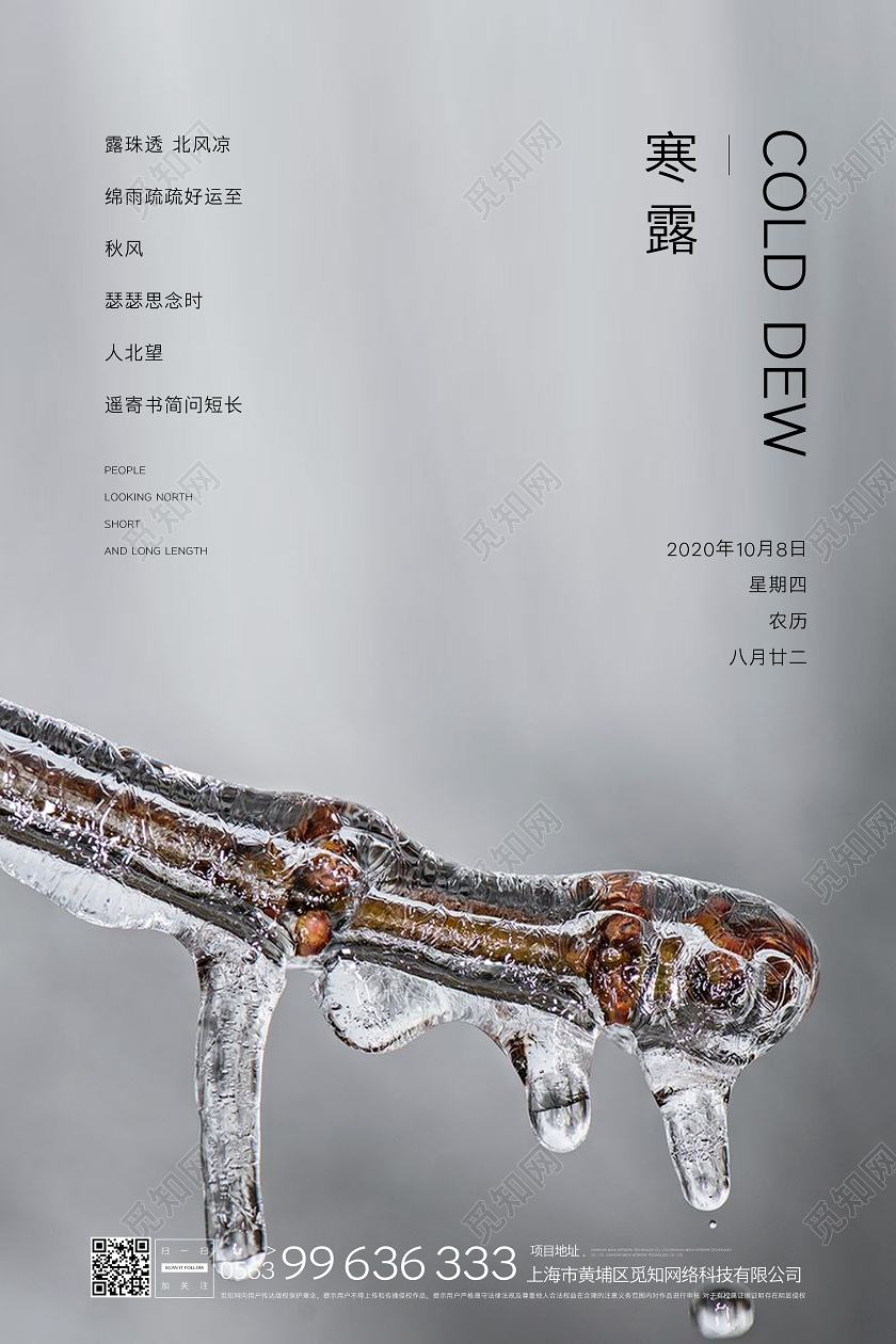 白色写实寒露创意宣传海报