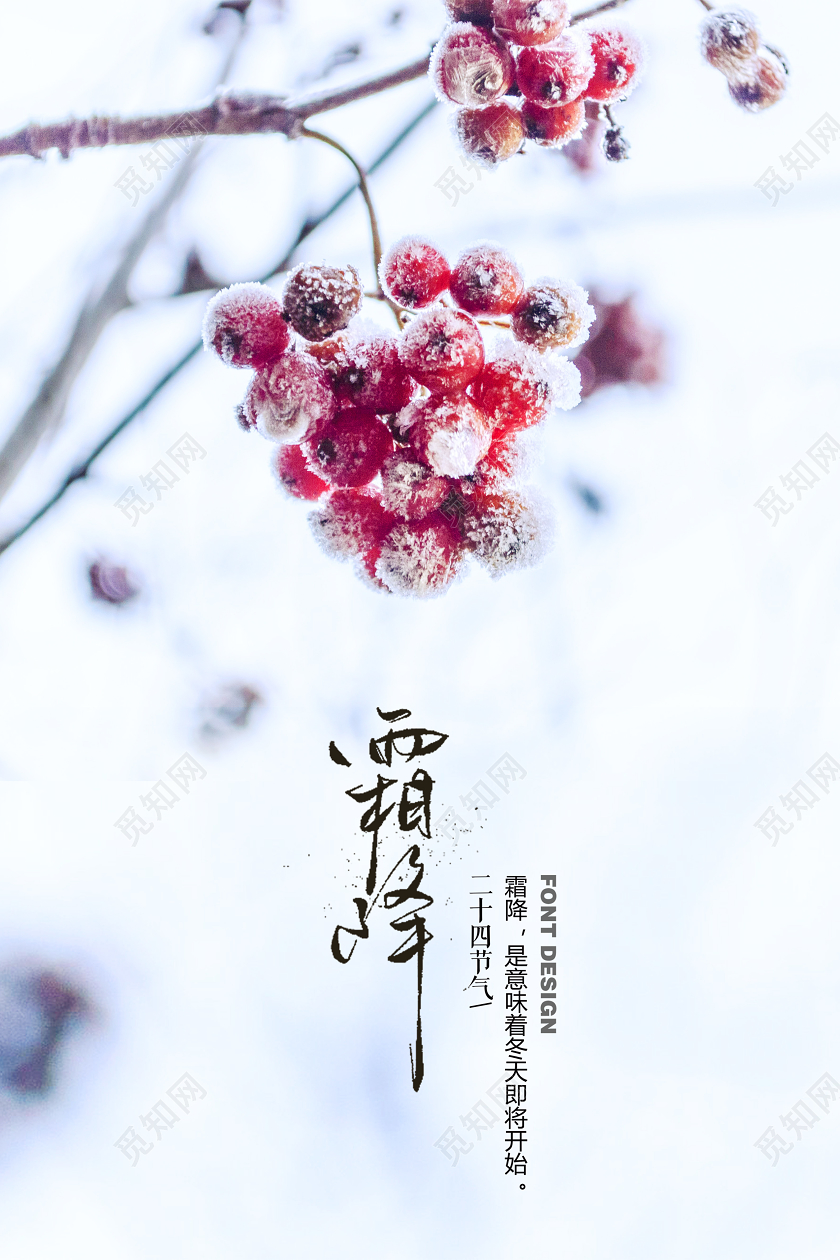 白色简约霜降传统二十四节气海报