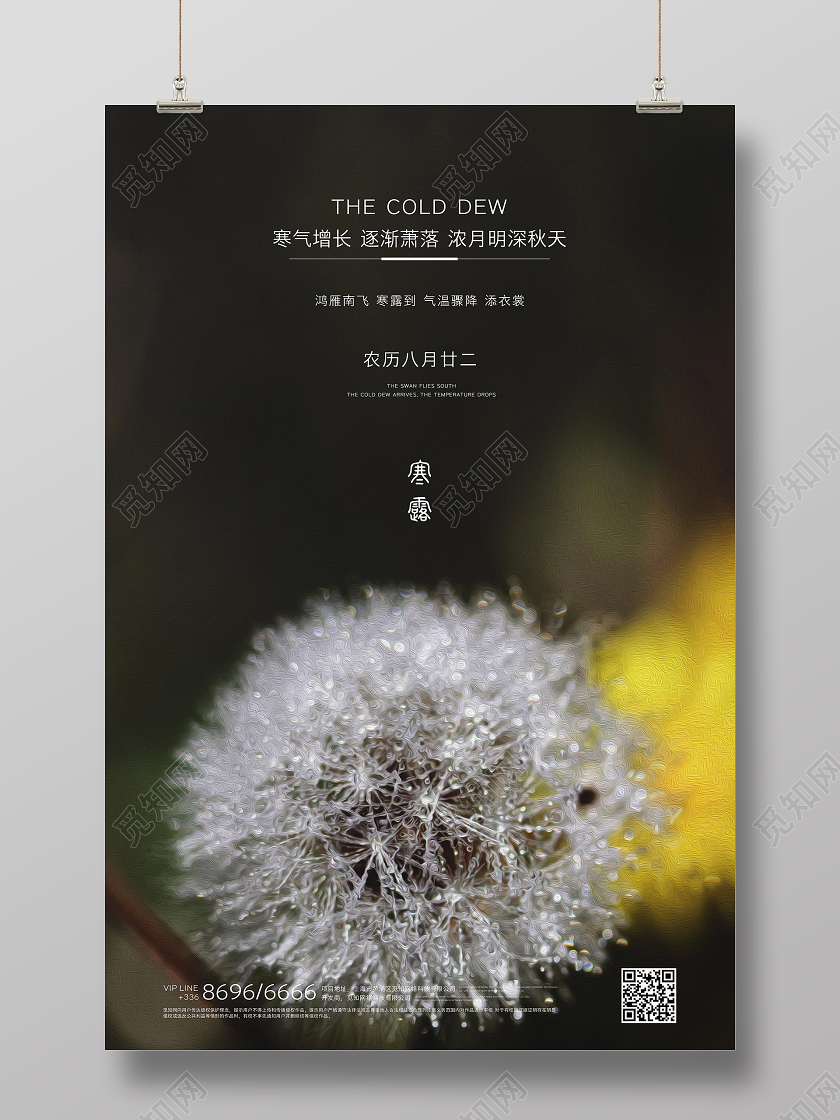 寒露写实创意宣传海报