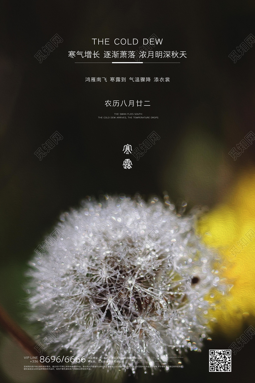 寒露写实创意宣传海报
