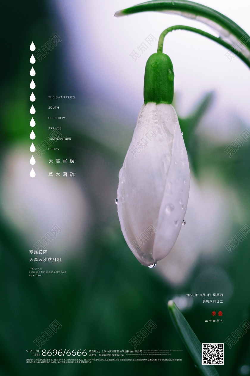 寒露绿色创意写实宣传海报