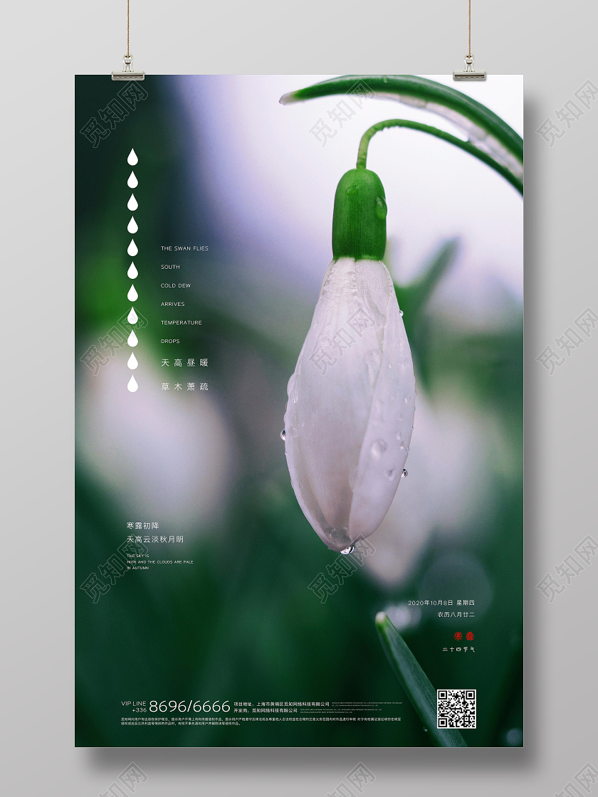 寒露绿色创意写实宣传海报