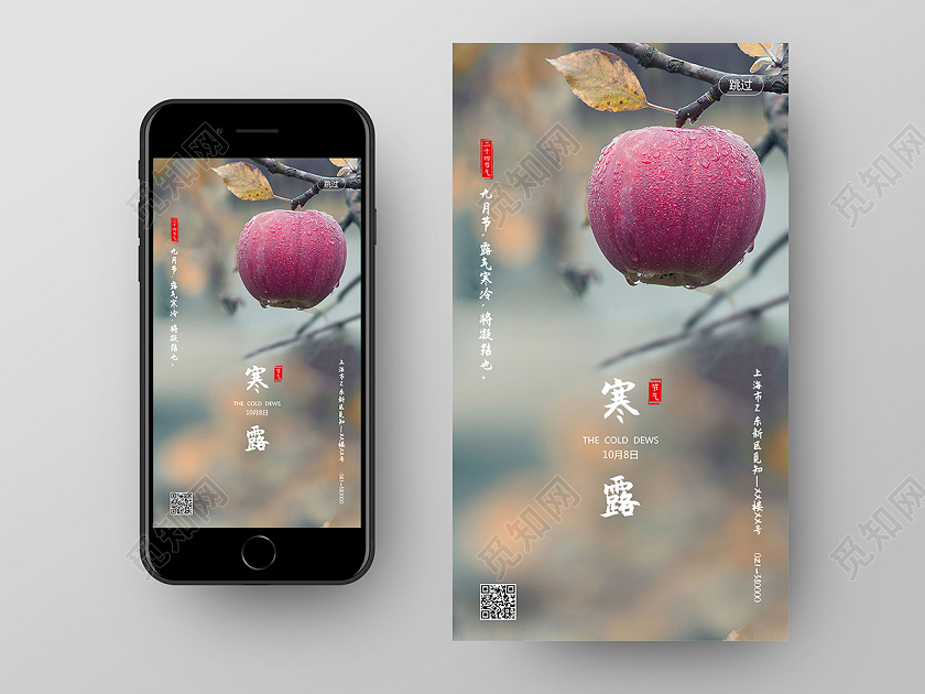 中国传统二十四节气24节气寒露手机启动页海报