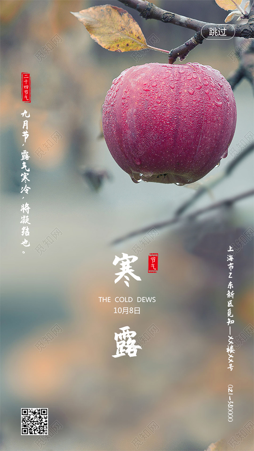 中国传统二十四节气24节气寒露手机启动页海报
