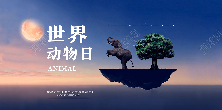 蓝色简约创意世界动物日展板