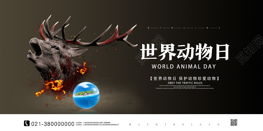 黑色简约创意世界动物日展板