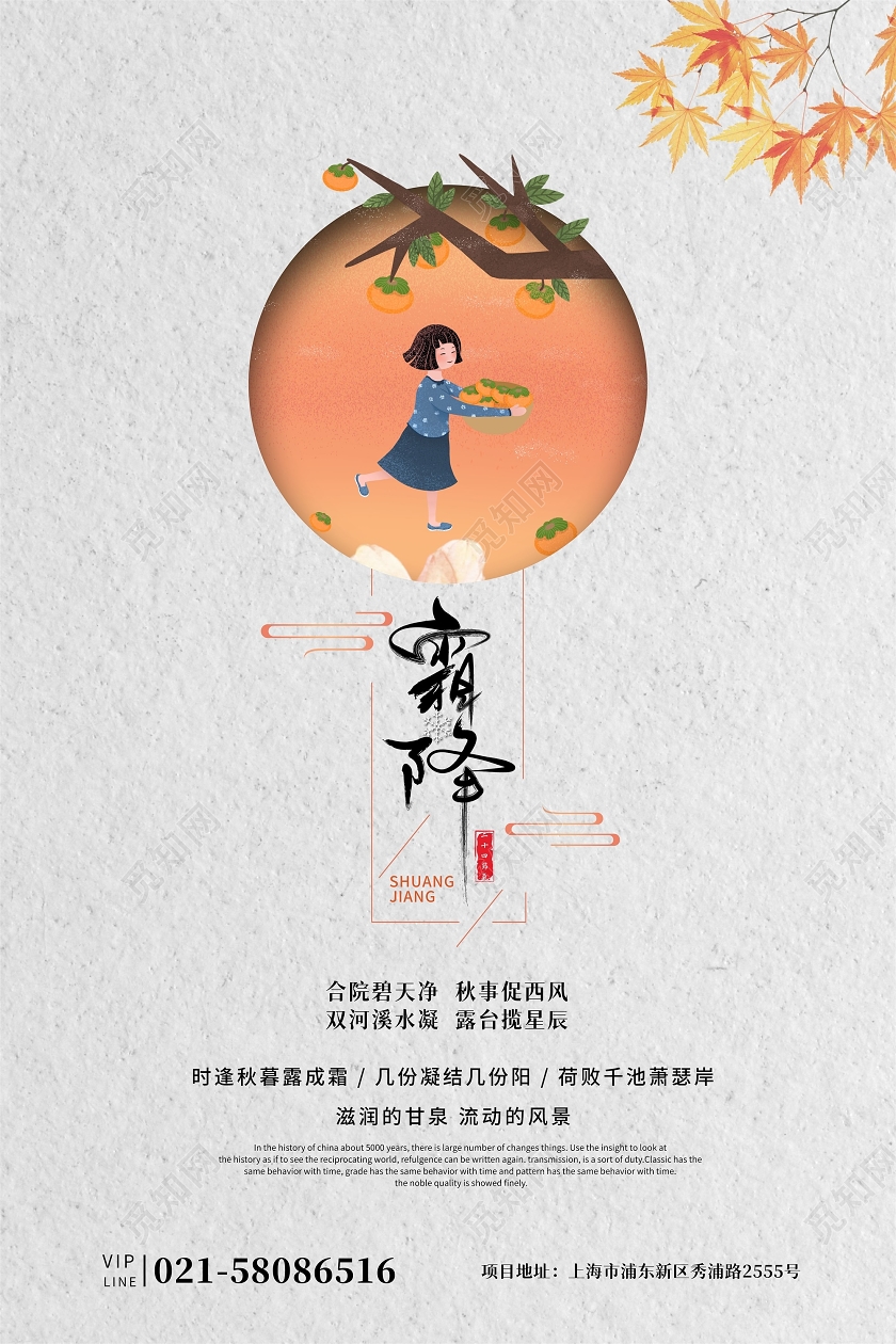 橘色二十四节气霜降插画柿子宣传海报