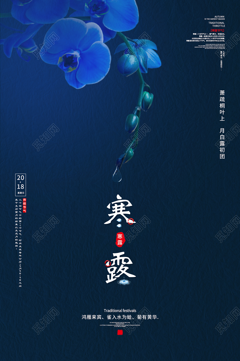 墨绿色大气二十四节气寒露海报二十四节气24节气寒露